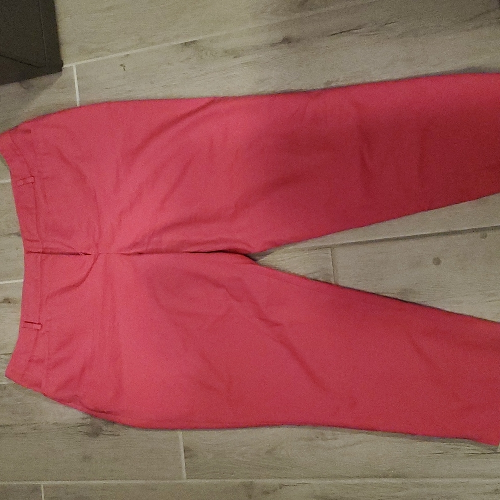Lane Bryant Ankle Pant Size 20
